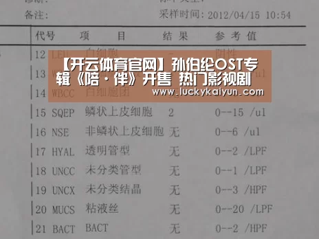 【开云体育官网】孙伯纶OST专辑《陪·伴》开售 热门影视剧不可或缺的男声(图1) KAIYUN体育