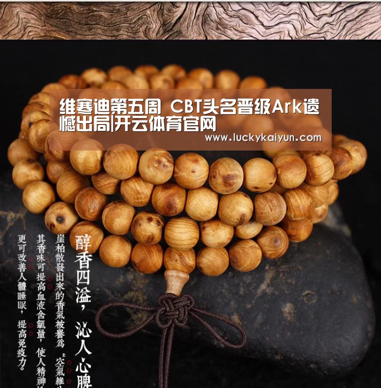 维寒迪第五周 CBT头名晋级Ark遗憾出局|开云体育官网(图1) 开云即时比分