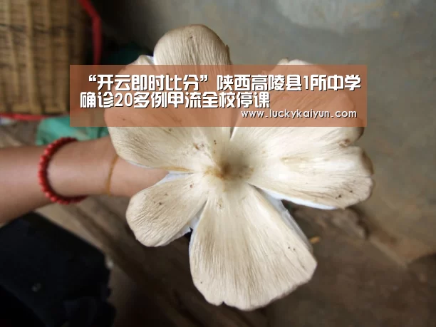 “开云即时比分”陕西高陵县1所中学确诊20多例甲流全校停课(图2) 开云即时比分