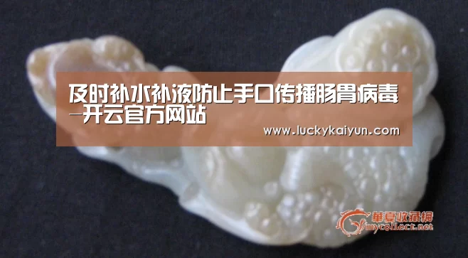 及时补水补液防止手口传播肠胃病毒-开云官方网站(图1) 开云即时比分
