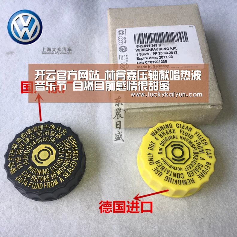 开云官方网站_林宥嘉压轴献唱热波音乐节 自爆目前感情很甜蜜(图2) 开云官方网站
